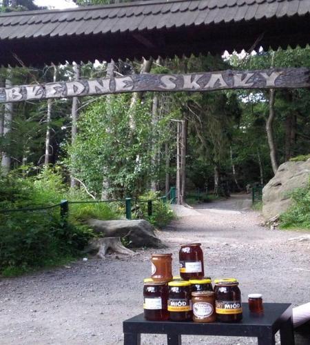 Apartamento Kamienica Radk�w
