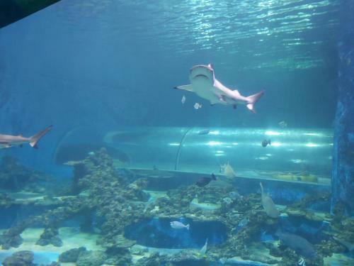 Apartament Aquapark Reda "destination"
