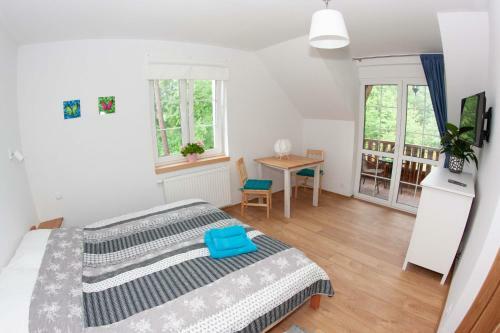 Apartamento Mazurska Gaj�wka