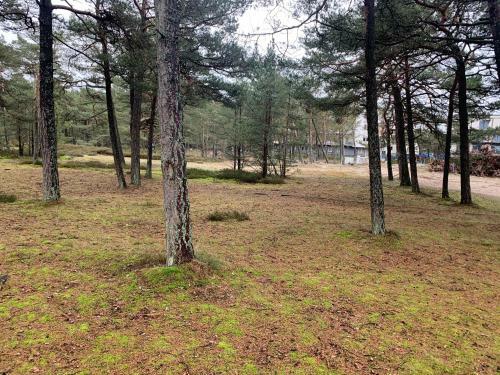 Apartamenty Piaskowe