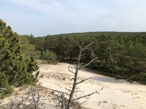 Apartamento Hilltom By The Sea
