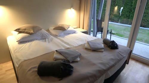 Wodnik Us?ugi Hotelarskie, Apartamenty