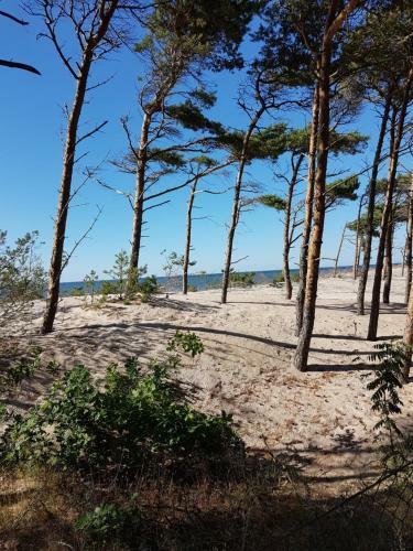 Blue Marine Apartament 19 Z Tarasem