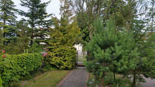 Apartament II