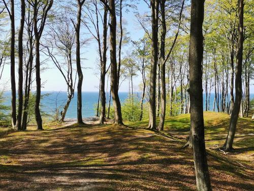 Apartamenty Piaskowe Szprotka 18b