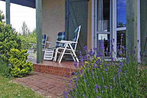 Holiday Home, Rusinowo