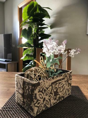 Apartamento Torrevieja - Caballero de Rodas 173