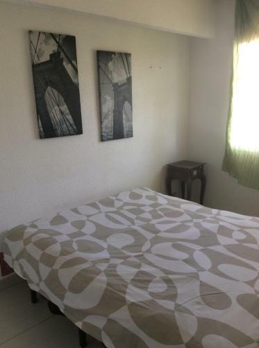 Apartamento Joven Pura