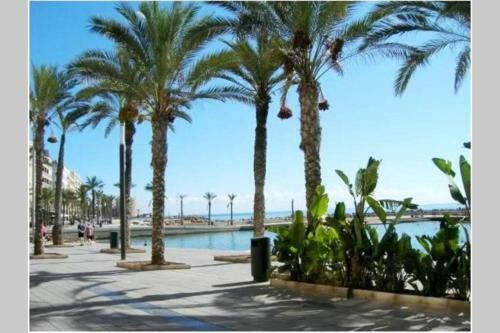 Apartamento Vicente Blasco Ib��ez,136-138