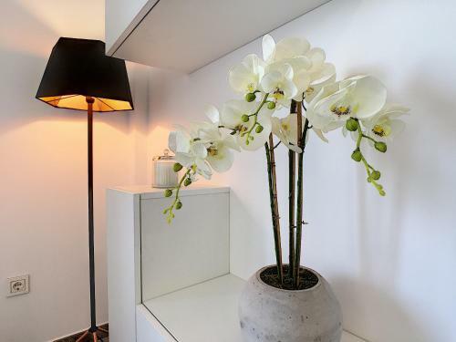 Apartamento Balcon de La Laguna 12