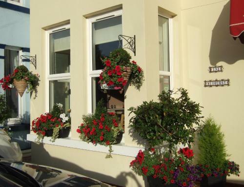 Midhurst B&B
