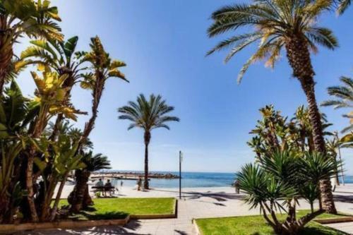 Apartamento Penthouse Ramon G-playa Del Cura