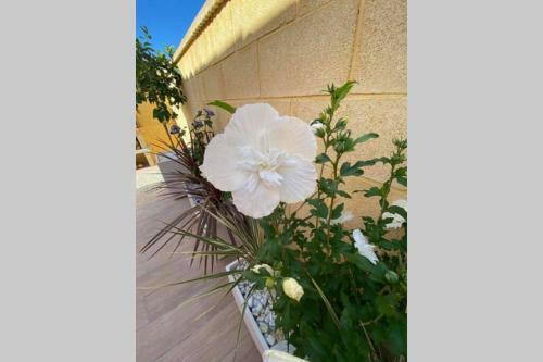 Casa Torre Y Sol With Big Terrace & Swimming Pool