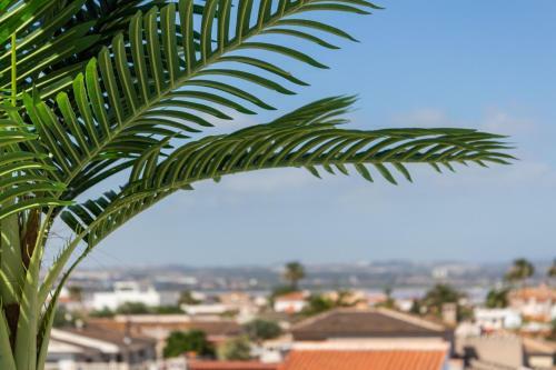 Apartamento Lagoon 4 - Bah�a