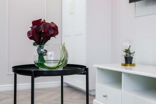 Apartamento Modern Studio Poznan City Center By Renters