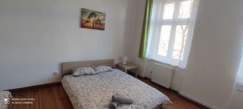 Lilia House Poznan