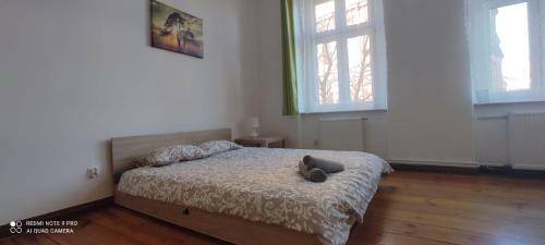 Lilia House Poznan