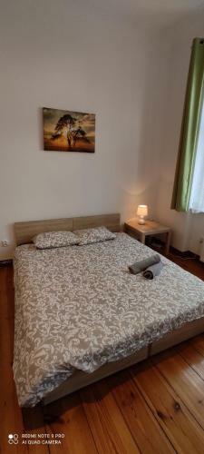 Lilia House Poznan