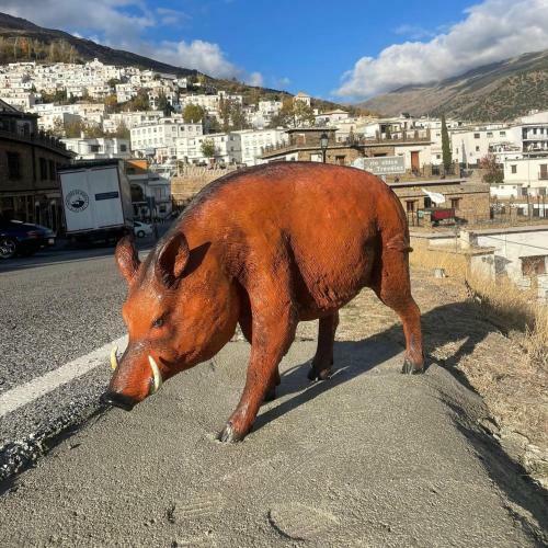Apartamento Siete Lagunas