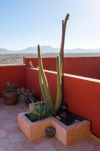 Apartamento Casa Nesea 2