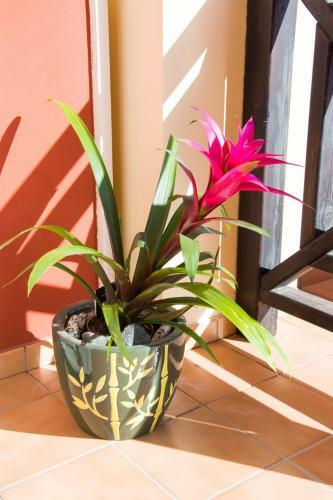 Apartamento Casa Nesea 2