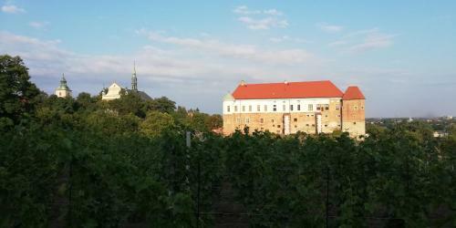 Apartament Przy D?ugosza