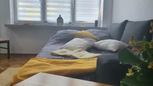 Apartament Park Saski