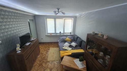 Apartament Park Saski