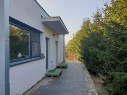 Maly Apartament W Zieleni Blisko Jeziora