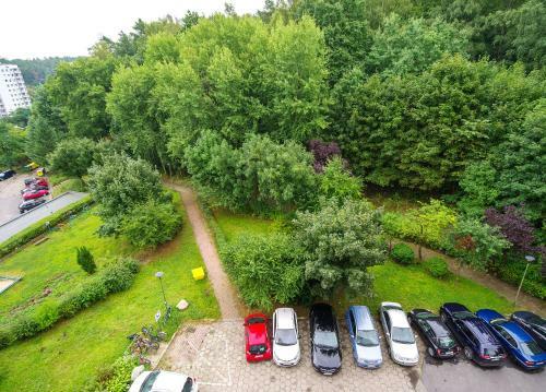 Apartamento Studio Wolno?? 2 - Noclegisopot