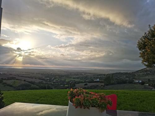 El Mirador de Marina