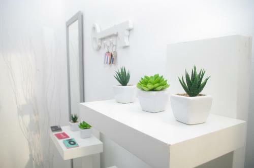 Apartamento Carlos & Ana