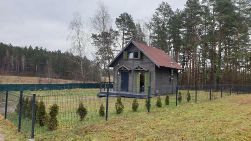 Zielony ?wierkocin