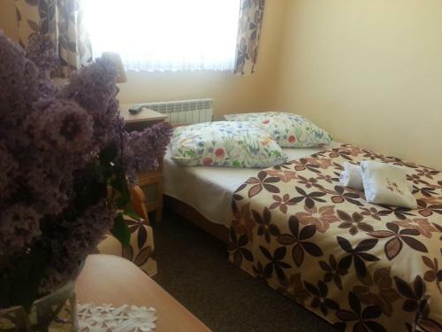 Bed & Breakfast U Hani W Pobli?u Gor?cy Potok I Termy