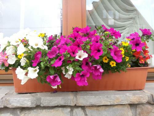 Bed & Breakfast U Hani W Pobli?u Gor?cy Potok I Termy