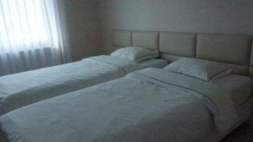 Apartament Le?ny