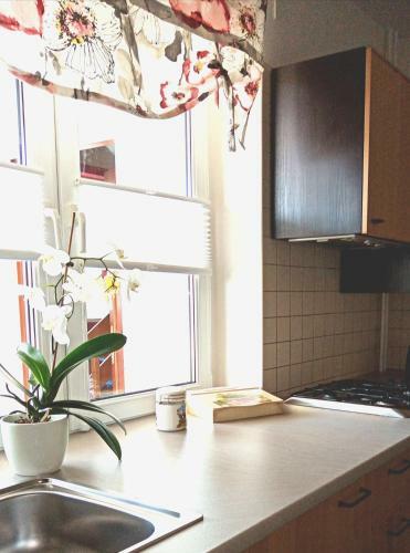 Apartament Le?ny