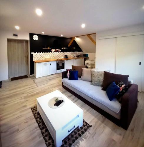 Apartament U Edka Przy Dolnej