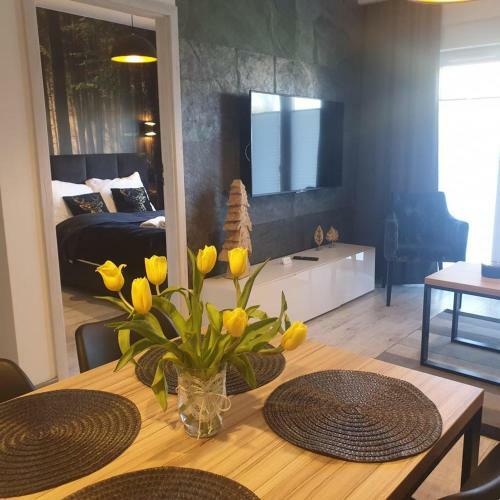 Apartament Izerska Przygoda - 5d Apartamenty