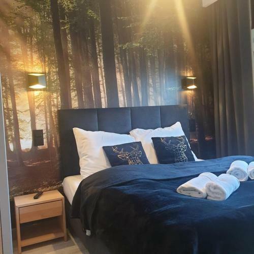 Apartament Izerska Przygoda - 5d Apartamenty