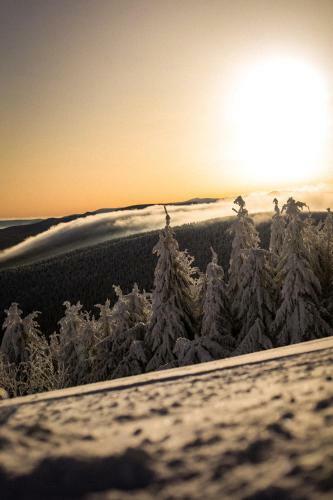 Ski&sun Apartamenty