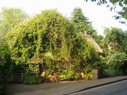 Hostal Wizards Thatch Luxury Suites
