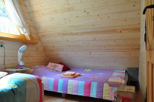 Krolowo Apartment