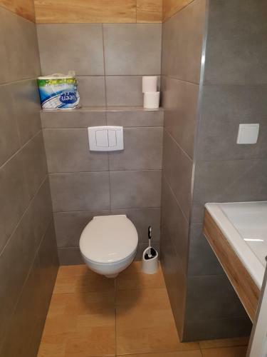 Albergue Noclegi Silesia Aster