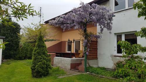 Albergue Noclegi Silesia Aster