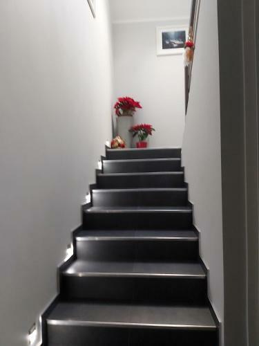Apartamento Bia?y Zak?tek