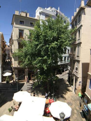 Lonja De La Seda, Apartments