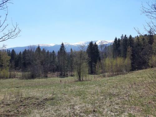 Apartament Nr 16 Szklarska Por?ba