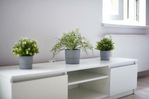 Apartamenty Horzyca