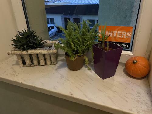 Apartamento Eldom-noclegi, Kolejowa 15 W?growiec